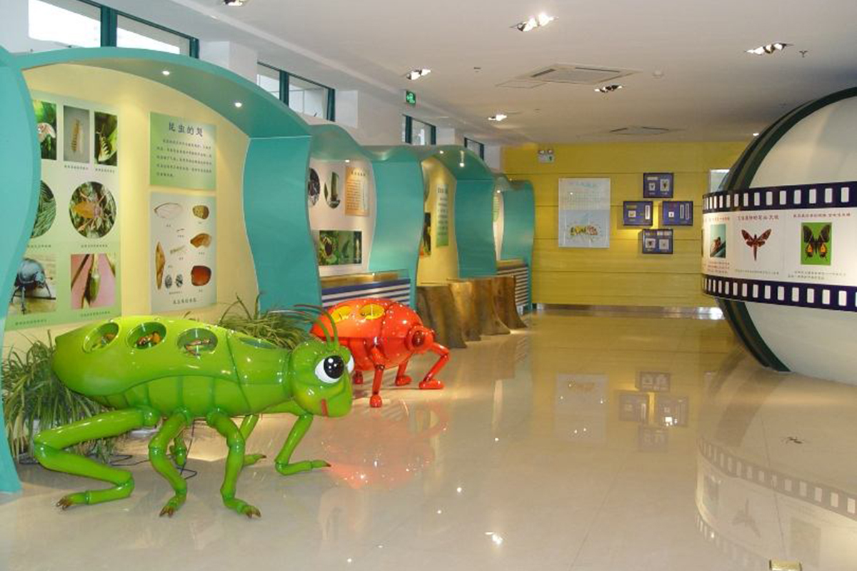 shanghai insect museum