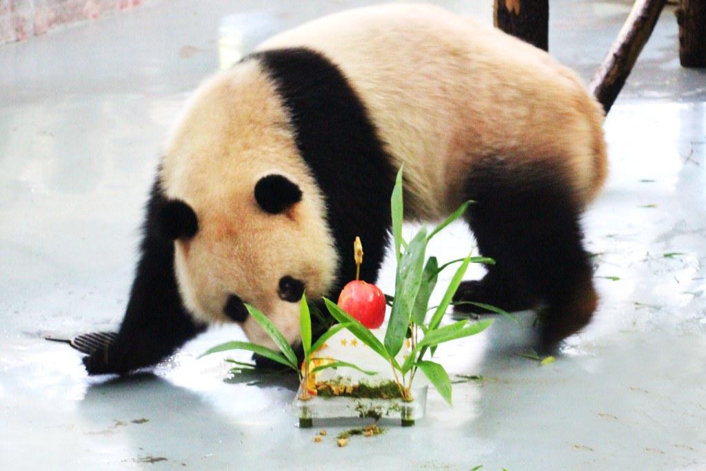 上海動物園