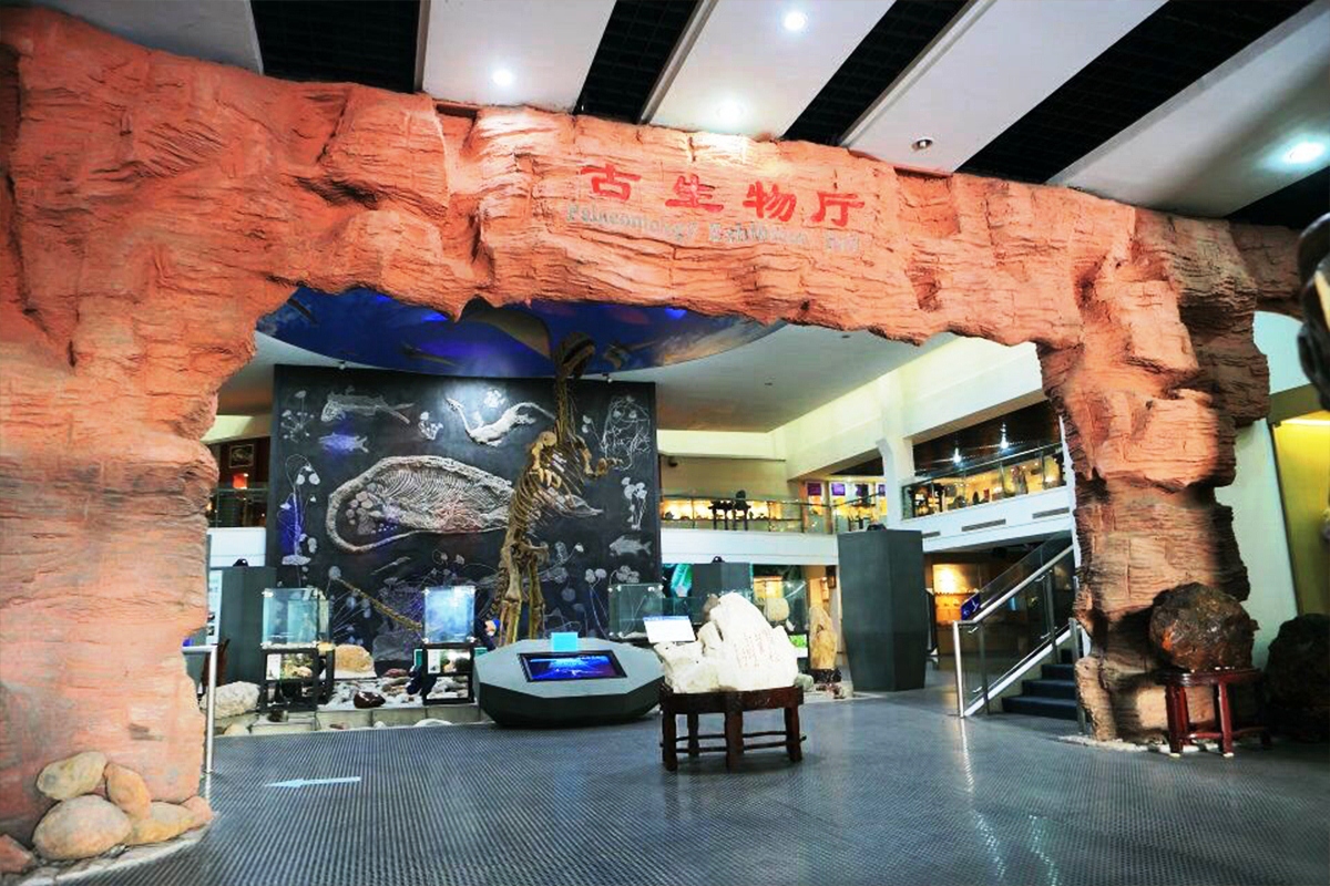 2021上海东方地质科普馆-旅游攻略-门票-地址-问答-游记点评，上海旅游旅游景点推荐-去哪儿攻略
